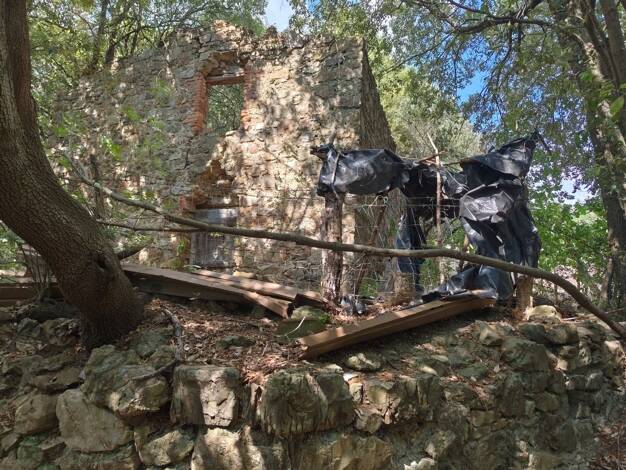 Grundstück zum Kauf 29.000 € 10.000 m² Grundstück Massa Marittima 58024