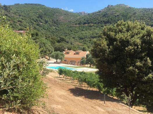 Haus zum Kauf 750.000 € 4 Zimmer 150 m² 27.000 m² Grundstück Berchidda  07022