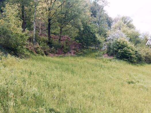 Grundstück zum Kauf 89.000 € 620 m² Grundstück Tharandt 01737