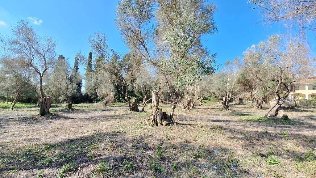 Land-/Forstwirtschaft zum Kauf 200.000 € 3.533 m² Grundstück Korfu