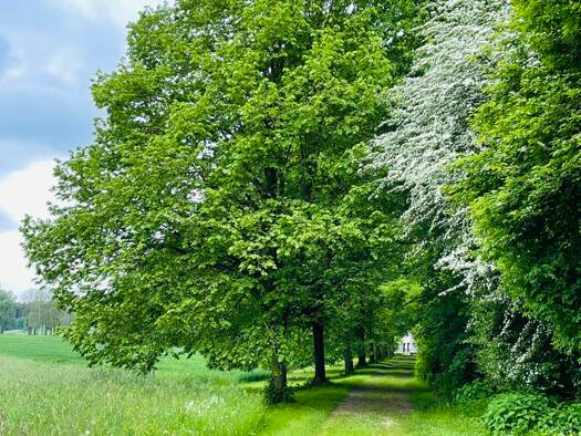 Land-/Forstwirtschaft zum Kauf 1.350.000 € 18.400 m² Grundstück Großkötz Kötz 89359