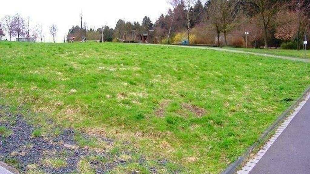 Grundstück zum Kauf provisionsfrei 89.000 € 729 m² Grundstück Gebhardshain 57580