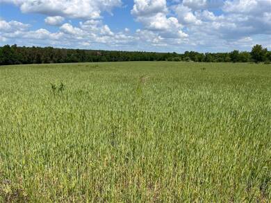 Landwirtschaftliche Fläche zum Kauf 364.000 € 56.173 m² Grundstück Dietenhofen Dietenhofen , Mittelfr 90599