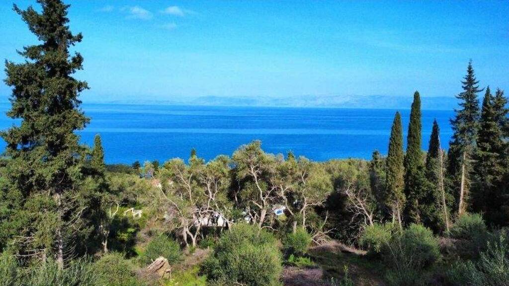 Land-/Forstwirtschaft zum Kauf 330.000 € 7.000 m² Grundstück Korfu