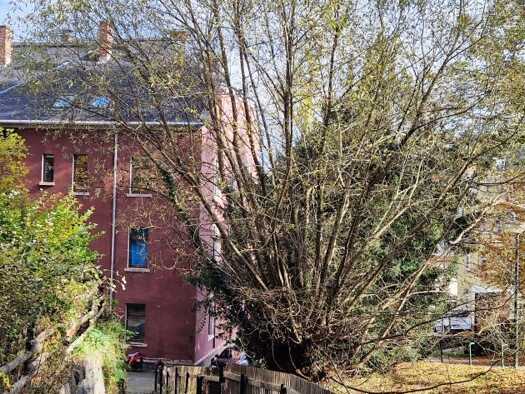 Wohnung zur Miete 465 € 3 Zimmer 73 m² frei ab 01.11.2026 Schwarzenberg Schwarzenberg/Erzgeb. 08340