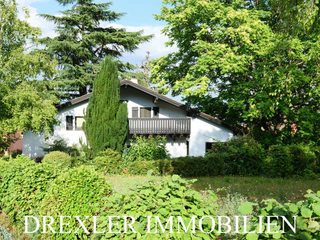 Einfamilienhaus zum Kauf 975.000 € 8 Zimmer 270 m² 1.391 m² Grundstück Grünstadt 67269