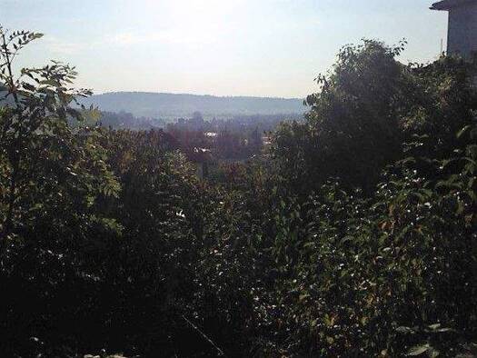Grundstück zum Kauf 165.000 € 900 m² Grundstück Treuchtlingen 91757