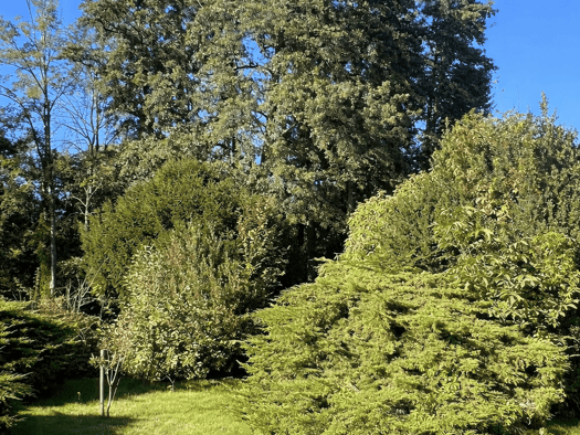 Grundstück zum Kauf 160.000 € 1.249 m² Grundstück Am Schlossgarten Schwante Oberkrämer 16727