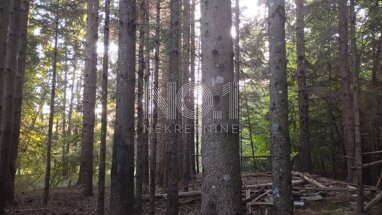 Land-/Forstwirtschaft zum Kauf 30.000 € Klana center