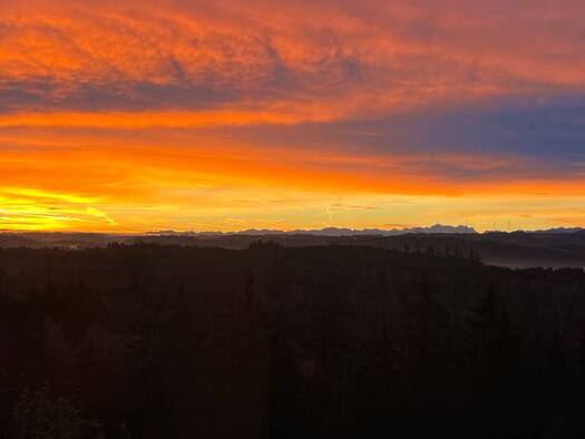 Wohnung zur Miete 1.000 € 3 Zimmer 100 m² Geschoss 8/9 frei ab sofort Leutkirch Leutkirch im Allgäu 88299