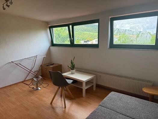 Studio zur Miete 305 € 1 Zimmer 28,8 m² frei ab sofort Fuchslöcherstraße 3 Wenigenjena Jena 07749