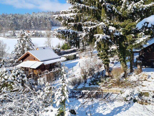 Immobilie in Reichenschwand - Für Naturliebhaber!!!  Ideales naturbelassenes Grundstück mit Einfamilienhaus - Bild 3