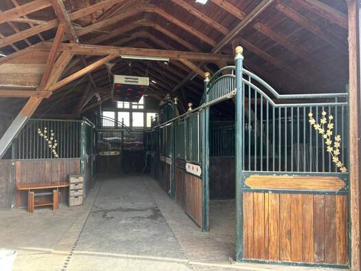 Mehrfamilienhaus zum Kauf 700.000 € 225 m² 6.640 m² Grundstück Hochneukirchen 2852