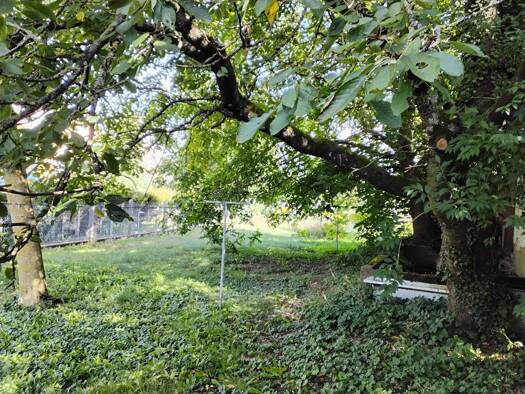Bauernhaus zum Kauf als Kapitalanlage geeignet 480.000 € 8 Zimmer 120 m² 1.425 m² Grundstück Kirchardt Kirchardt 74912