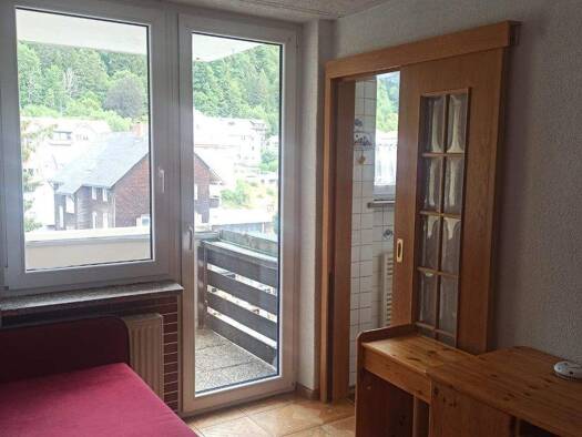 Wohnung zum Kauf provisionsfrei 34.000 € 30 m² 1. Geschoss frei ab sofort Todtmooser Straße 2 St Blasien St. Blasien 79837