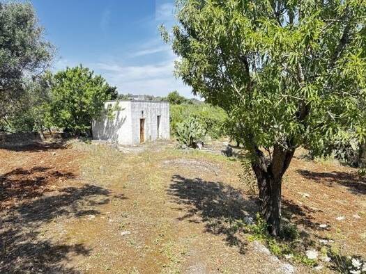 Haus zum Kauf 65.000 € 95 m² 5.400 m² Grundstück Carovigno 72012