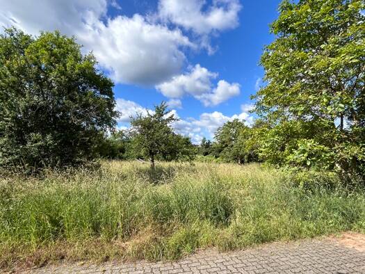 Grundstück zum Kauf 320.000 € 883 m² Grundstück Erlenbach Erlenbach a.Main 63906