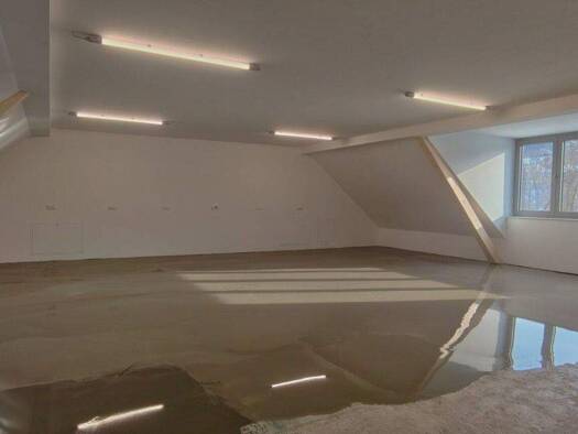 Büro zur Miete 1.170 € Grabenhof Wels 4600