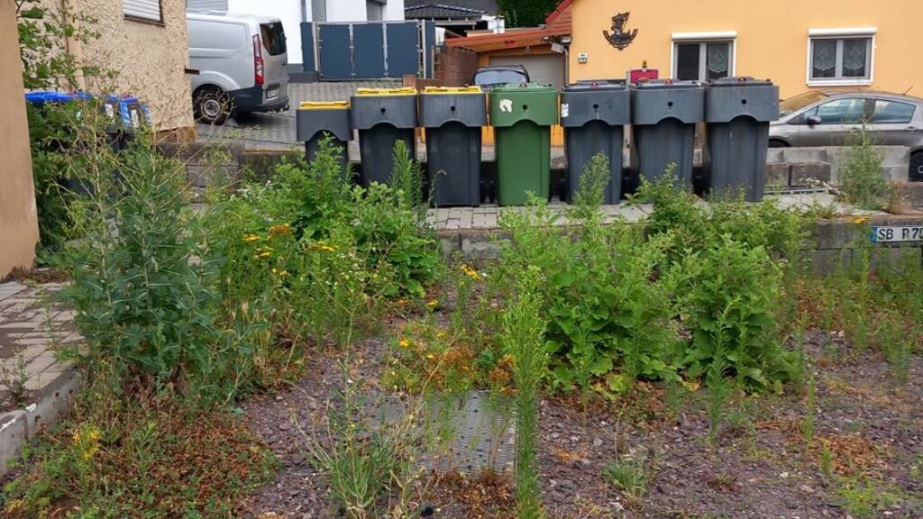 Außenstellplatz zur Miete 70 € Dudweiler Saarbrücken 66125