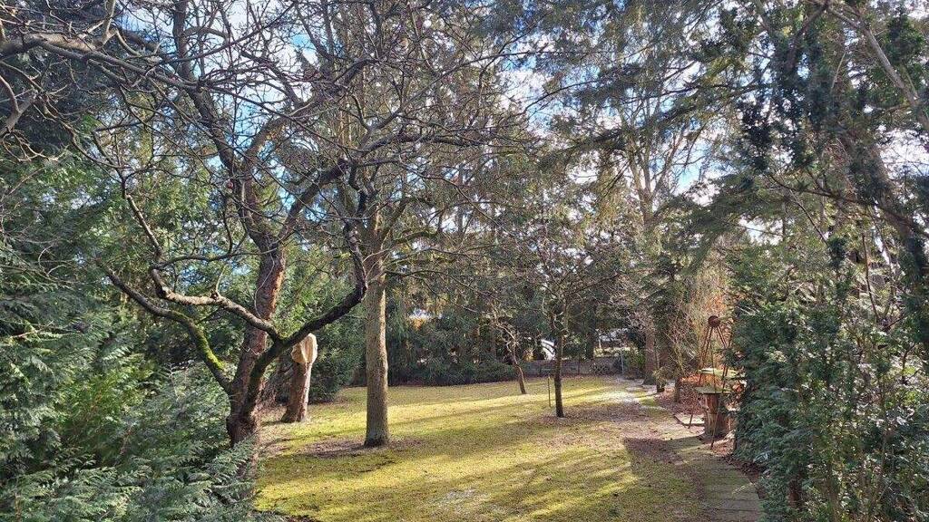 Grundstück zum Kauf 450.000 € 887 m² Grundstück Baumschulenweg Berlin 12437