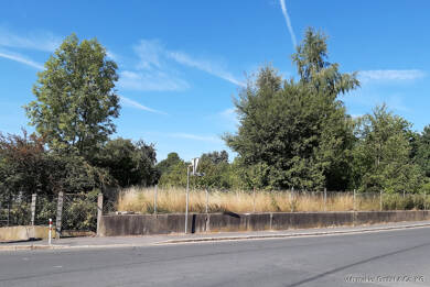 Grundstück zum Kauf 120.000 € 4.241 m² Grundstück Arzberg Arzberg 95659