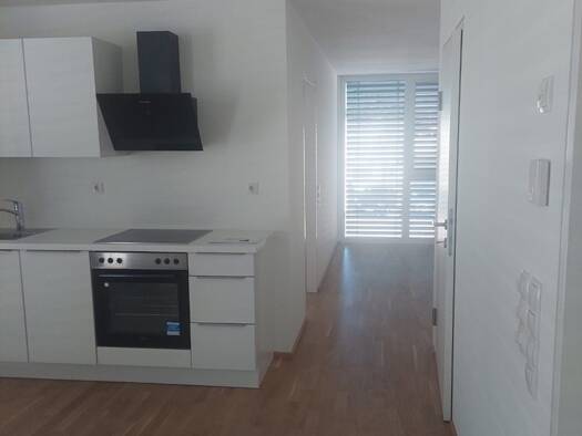 Wohnung zur Miete 920 € 2 Zimmer 47 m² 1. Geschoss frei ab sofort Hofsteigstr. 94 Hard 6971
