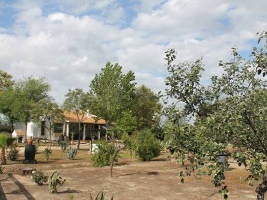 Bauernhaus zum Kauf 220.000 € 4 Zimmer 120 m² 9.500 m² Grundstück Rociana del Condado 21720