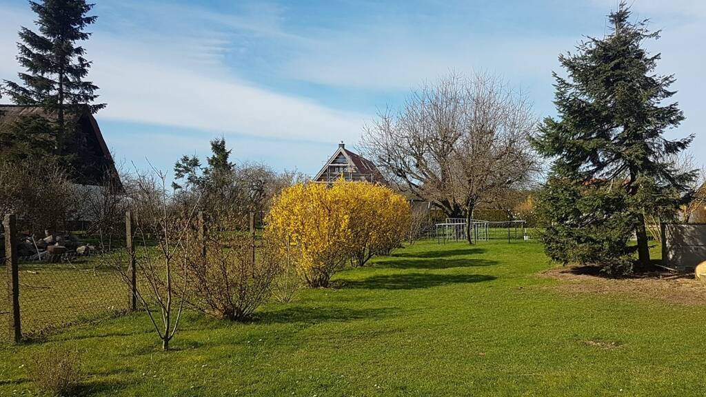 Grundstück zum Kauf 73.900 € 1.000 m² Grundstück Klein Voigtshagen 23942