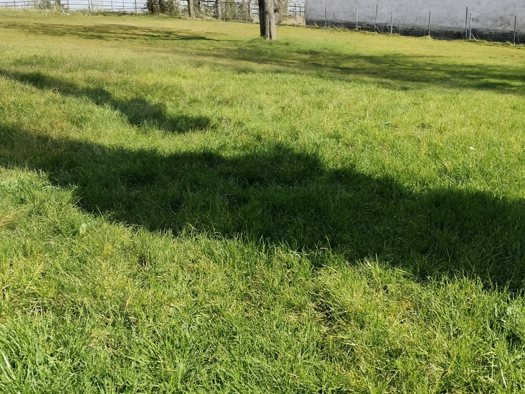 Grundstück zum Kauf 130.000 € 1.200 m² Grundstück Etscheid Neustadt (Wied) 53577