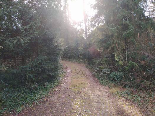 Grundstück zum Kauf 350.000 € 2.728 m² Grundstück frei ab sofort Bissendorf Wedemark 30900