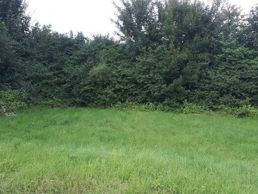 Grundstück zum Kauf 250.000 € 1.200 m² Grundstück St Georgen Traunreut 83368