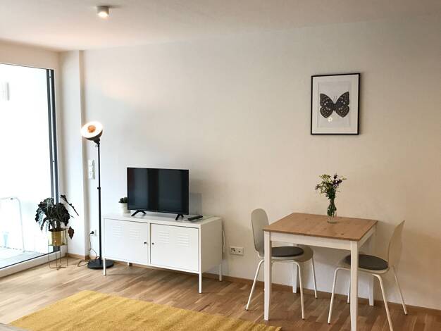 Studio zur Miete Wohnen auf Zeit 1.500 € 1 Zimmer 42 m² frei ab 01.05.2026 Weststadt Ulm 89077