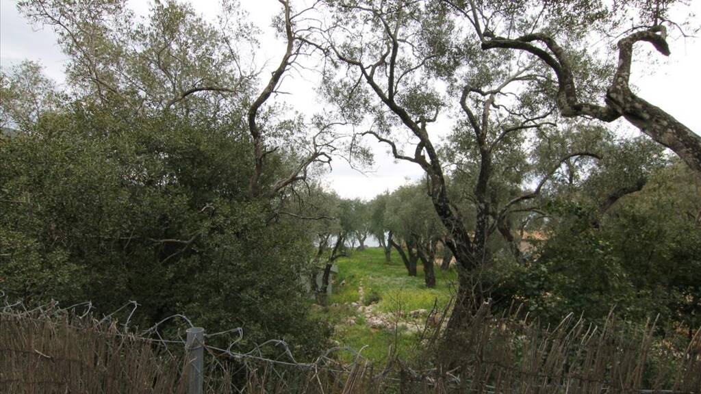 Land-/Forstwirtschaft zum Kauf 250.000 € 10.000 m² Grundstück Korfu