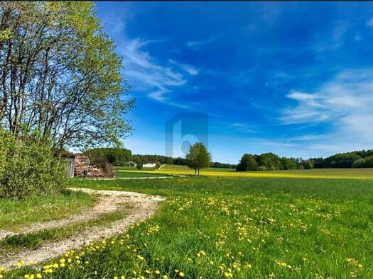 Grundstück zum Kauf 139.900 € 1.150 m² Grundstück Herrnried Parsberg 92331