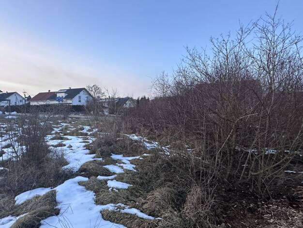 Einfamilienhaus zum Kauf provisionsfrei 541.670 € 5,5 Zimmer 124 m² 501 m² Grundstück Schwenningen Villingen-Schwenningen 78054