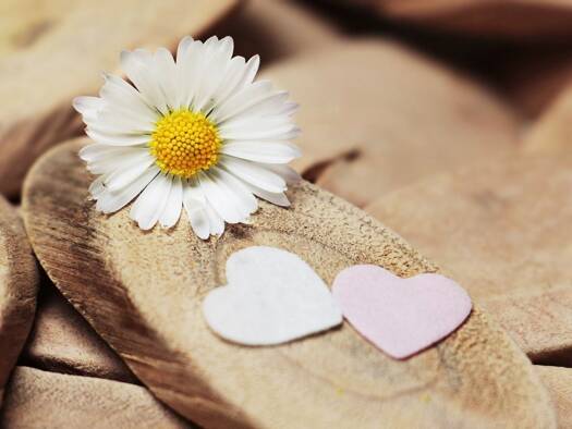 Einfamilienhaus zum Kauf 632.874 € 5 Zimmer 150 m² 452 m² Grundstück Ickern Castrop Rauxel 44577