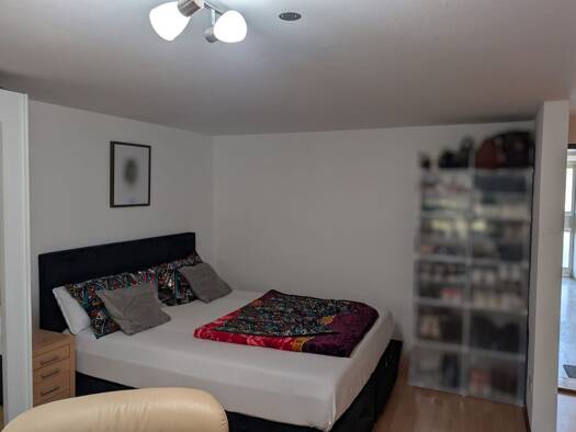 Wohnung zur Miete 250 € 1 Zimmer 30 m² Geschoss -1/4 frei ab 01.09.2026 Altshausen Altshausen 88361