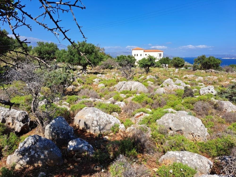 Grundstück zum Kauf 250.000 € 2.925 m²<br/>Grundstück Kreta Kokkino Chorio 730 08