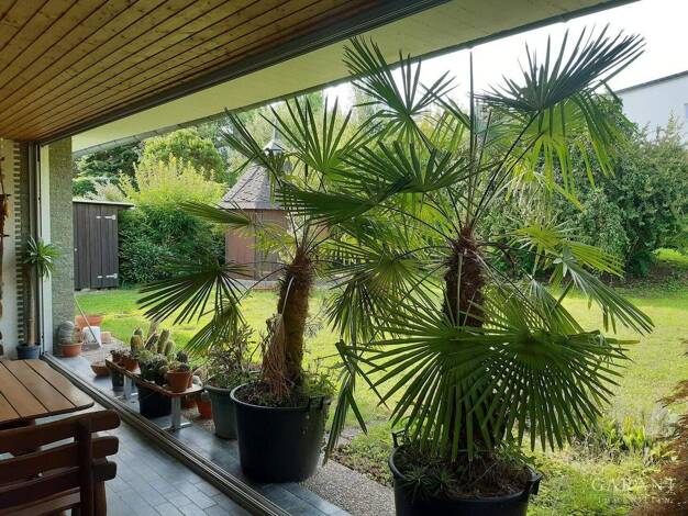 Bungalow zum Kauf 690.000 € 4 Zimmer 168 m² 800 m² Grundstück Palmbach Karlsruhe 76228