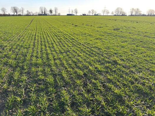 Land-/Forstwirtschaft zum Kauf 220.000 € 19.449 m² Grundstück Hilbeck Werl 59457