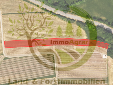 Land-/Forstwirtschaft zum Kauf 4.000 € 2.426 m² 2.426 m² Grundstück Ippesheim Ippesheim 97258