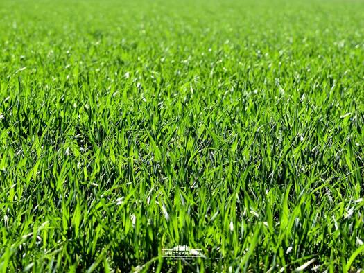 Gewerbegrundstück zum Kauf 269.400 € 898 m² Grundstück Vöcklabruck 4840