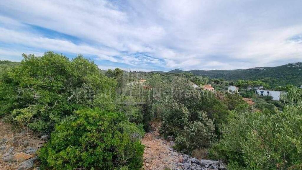 Land-/Forstwirtschaft zum Kauf 52.950 € Sali