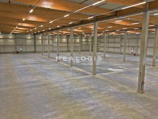 Halle/Industriefläche zur Miete provisionsfrei 6.500 m² Lagerfläche Empfingen Empfingen 72186