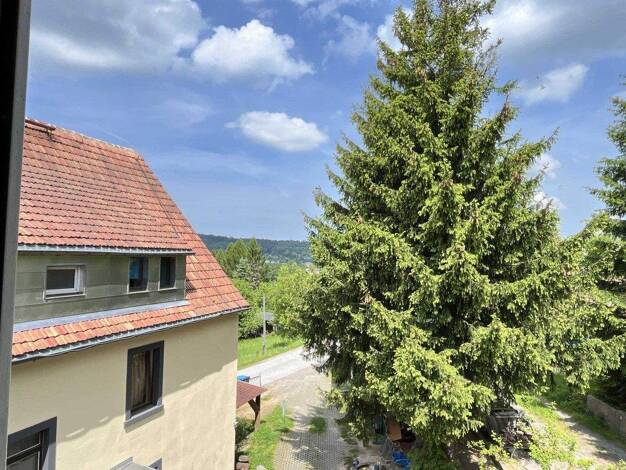 Mehrfamilienhaus zum Kauf 295.000 € 31 Zimmer 641 m² 2.000 m² Grundstück Sebnitz 01855