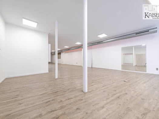 Laden zur Miete 4.000 € 5 Zimmer 232 m² Verkaufsfläche Basler Straße 153 Lörrach Lörrach 79539