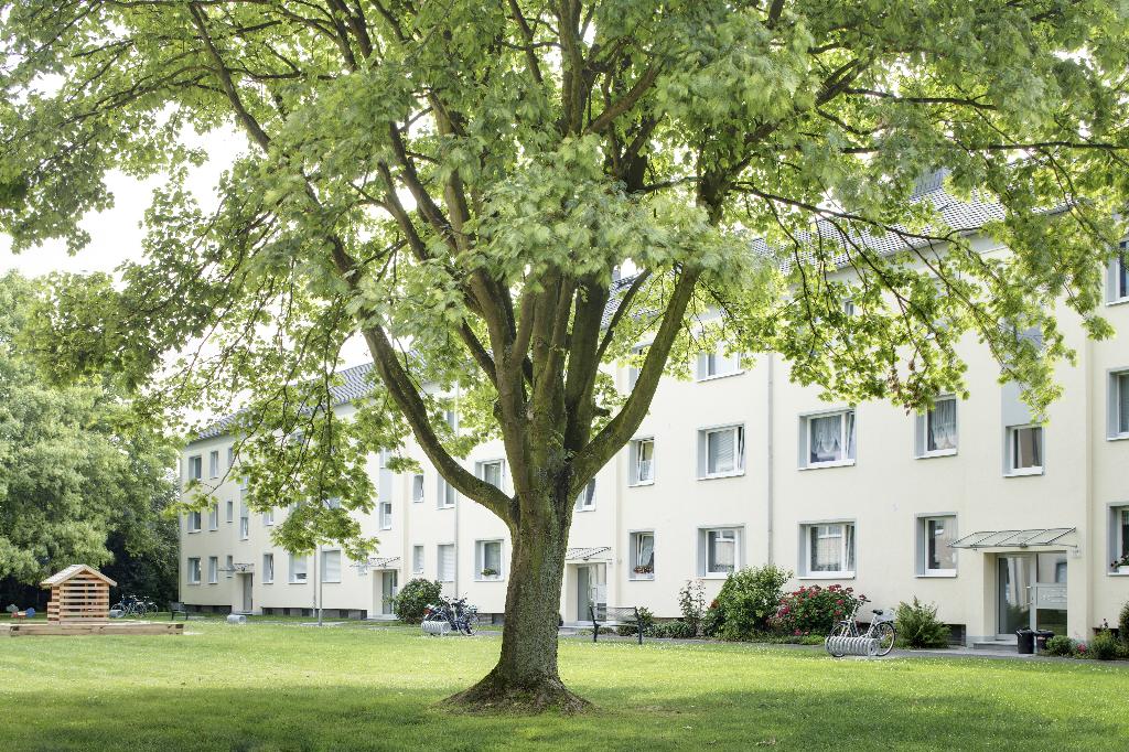 Wohnung zur Miete 729 € 3 Zimmer 72,3 m²<br/>Wohnfläche EG<br/>Geschoss 13.12.2024<br/>Verfügbarkeit Severingstraße 24 Windberg Mönchengladbach 41063