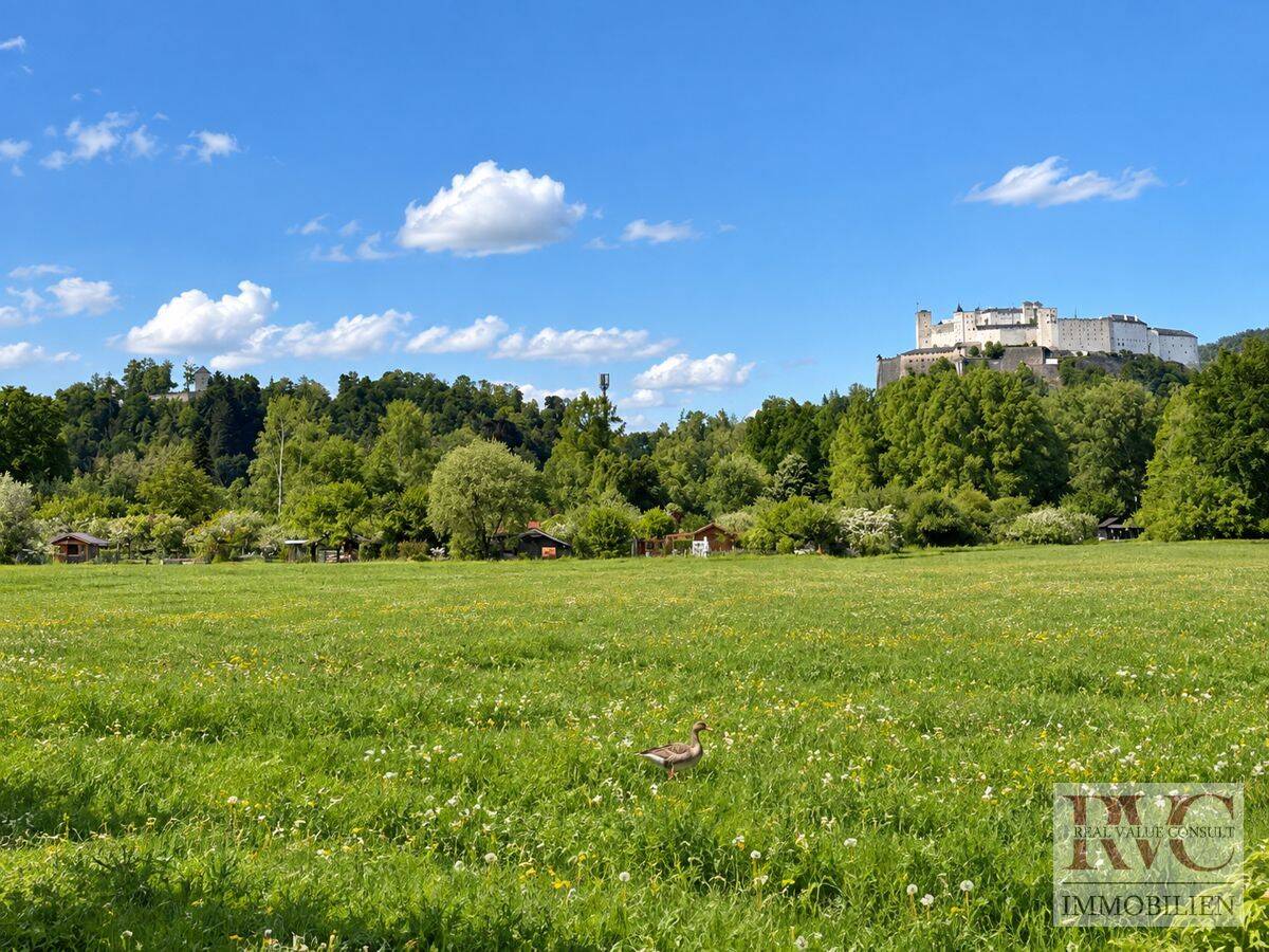 Wohnung – Salzburg - Ansicht 4