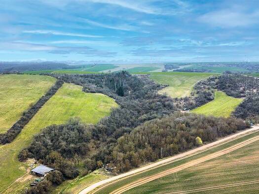 Grundstück zum Kauf 17.500 € 59.383 m² Grundstück Uthleben Heringen/Helme 99765