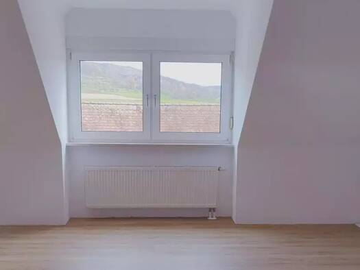 Wohnung zur Miete 800 € 4 Zimmer 89,1 m² Geschoss 2/3 frei ab sofort Dietzhof 13 Dietzhof Leutenbach 91359